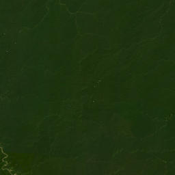 Ucayali map(satellite map)