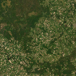 Druskininkai municipality map(satellite map)