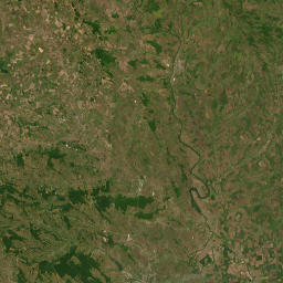 Rezina District map(satellite map)