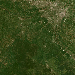 Saint Louis map(satellite map)