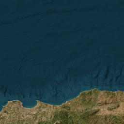 Algiers map(satellite map)