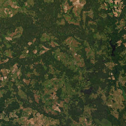 Satelita