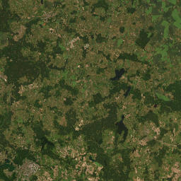 Satelita