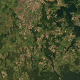 Satelita