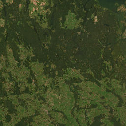 Satelita