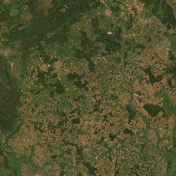 Satelita