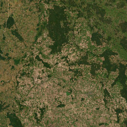Satelita