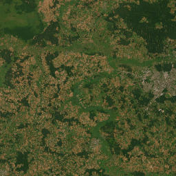 Satelita