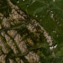 10012-10230 Forestry Trunk Road, Caroline Satellite Map