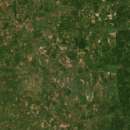 Unnamed Road, Holcomb, MS 38940 Satellite Map
