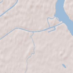 Centralniy Terrain Map
