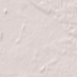 Jõhvi vald Terrain Map