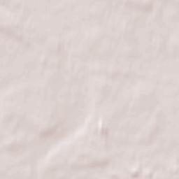 Nelazskoye Terrain Map