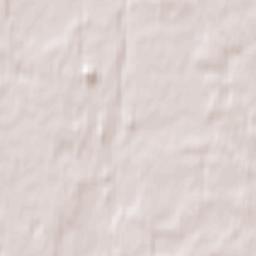 Slantsy Terrain Map