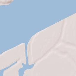 Dillingham Terrain Map