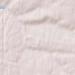 Lesnyye Polyany Terrain Map