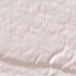 Lyubytinskiy Rayon Terrain Map