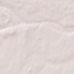 Ustyuzhna Terrain Map