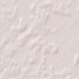 Türi vald Terrain Map