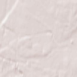 Zarubino Terrain Map