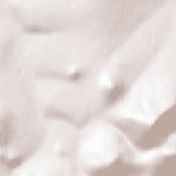 Lebedinyy Terrain Map