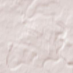 Borovichi Terrain Map