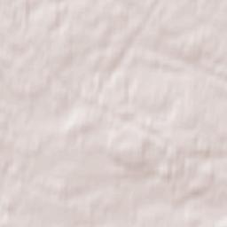 Chistyye Bory Terrain Map