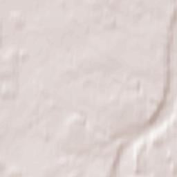 Puhja Terrain Map
