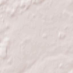 Nõo Terrain Map