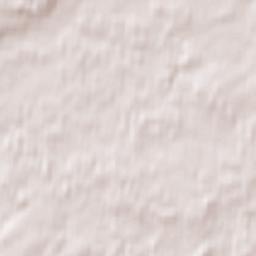 Kambja vald Terrain Map