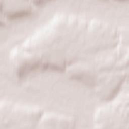 Susanino Terrain Map