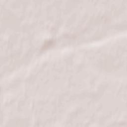 Krasnyy Kholm Terrain Map