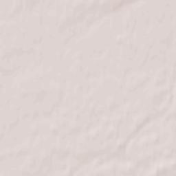 Staraya Russa Terrain Map