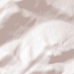 Mamsko-Chuyskiy Rayon Terrain Map