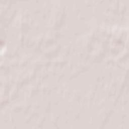 Novyy Izborsk Terrain Map