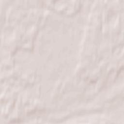 Pskovskiy Rayon Terrain Map