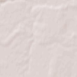 Palkinskiy Rayon Terrain Map