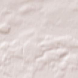 Borisoglebskiy Terrain Map