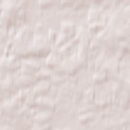 Losinyy Terrain Map
