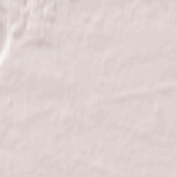 Torzhokskiy Rayon Terrain Map