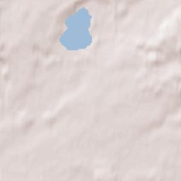 Pushkinskiye Gory Terrain Map