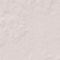 Vasil’yevskiy Mokh Terrain Map