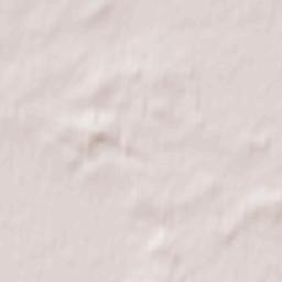 Bezhanitsy Terrain Map