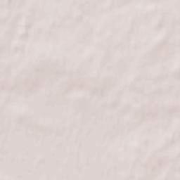 Il’inskoye-Khovanskoye Terrain Map