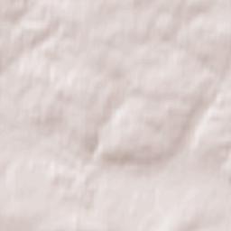 Zav’yalovskiy Rayon Terrain Map