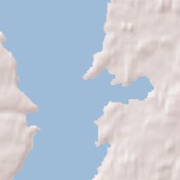 Zarechnyy Terrain Map