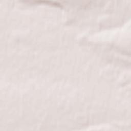 Dzerzhinskoye Terrain Map