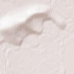 Novaya Chara Terrain Map