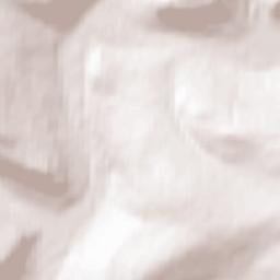 Zvëzdnyy Terrain Map