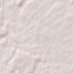 Novosokol’nicheskiy Rayon Terrain Map